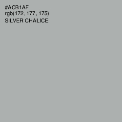#ACB1AF - Silver Chalice Color Image